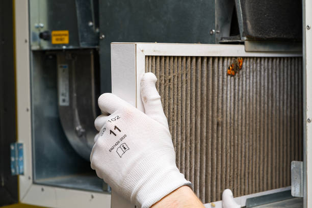 Best Air Duct Cleaning Near Me  in Lake Alfred, FL