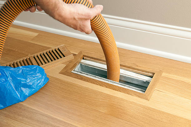 Best Professional Duct Cleaning Services  in Lake Alfred, FL