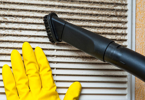 Best Air Duct Cleaning Near Me in Lake Alfred, FL